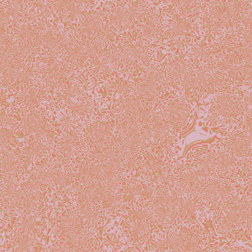 Variation 4
