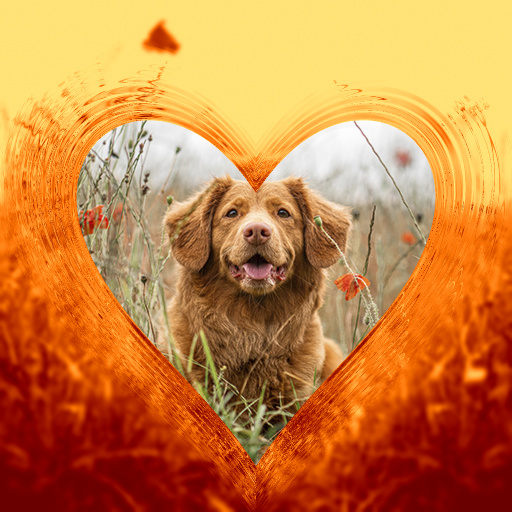 Glass Heart Frame (Animated)