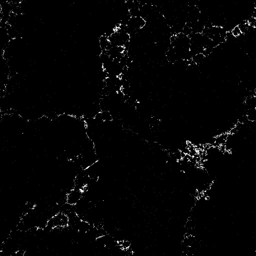 Reflective Occlusion Map