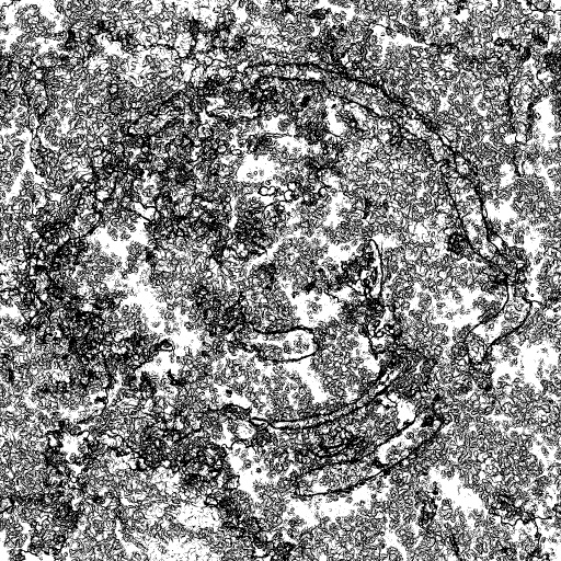 Reflective Occlusion Map