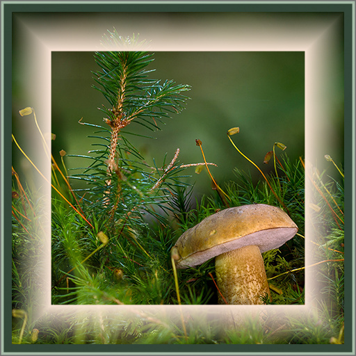 Variation 2
