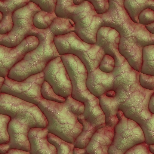 Variation 5