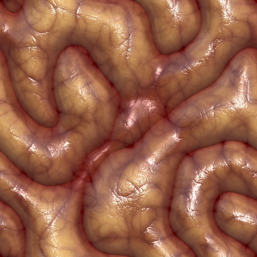 Brains (Texture)