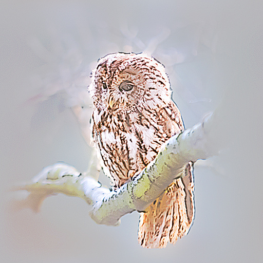 Variation 7
