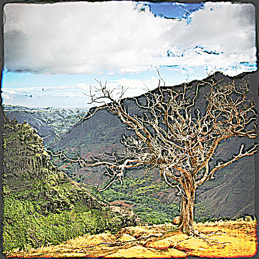 Variation 8