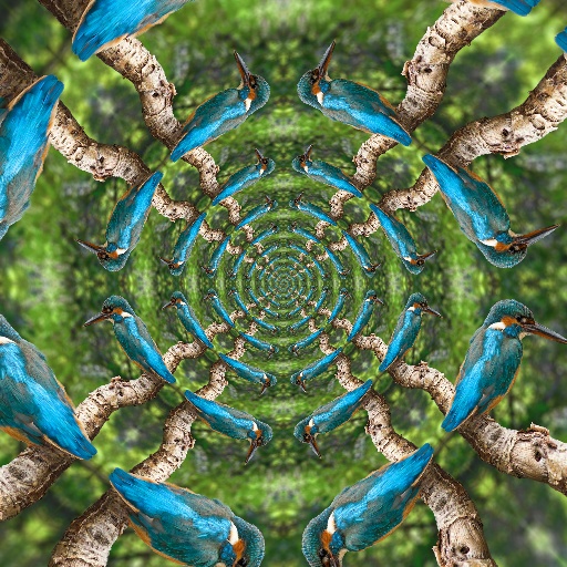 Variation 7
