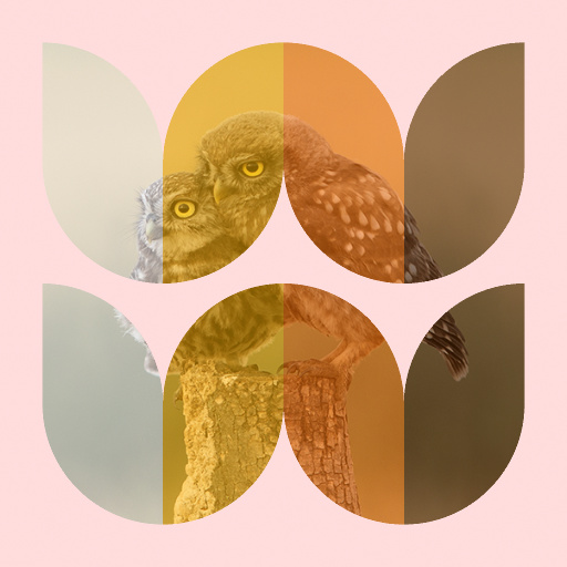 Variation 1