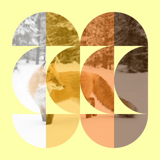 Variation 2