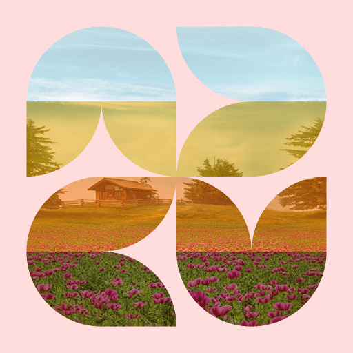Variation 3