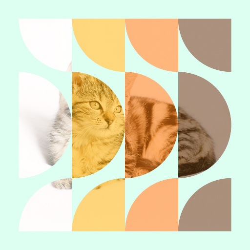 Variation 4