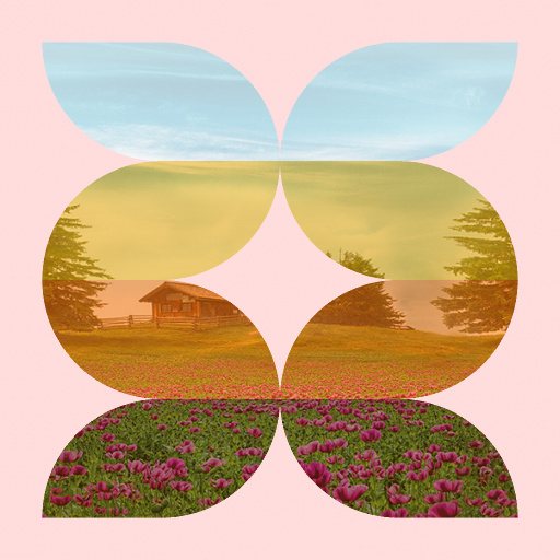 Variation 5