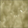Coy's Cake Frosting Icing Glaze 4