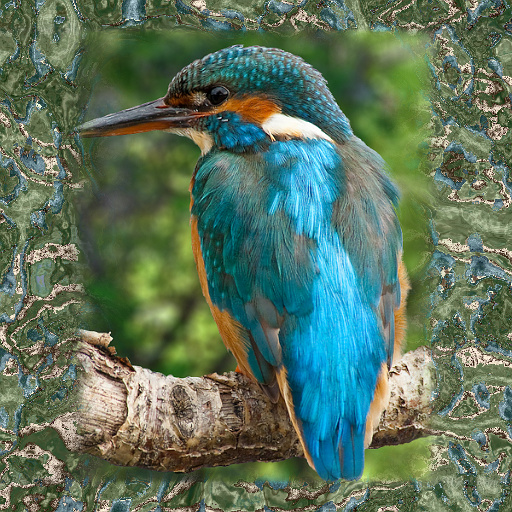 Variation 4
