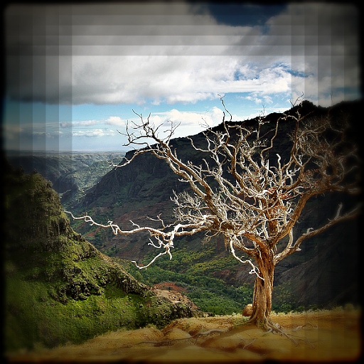 Variation 5