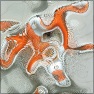 Distortion & Moire