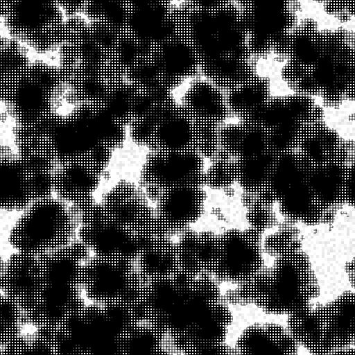 Variation 7