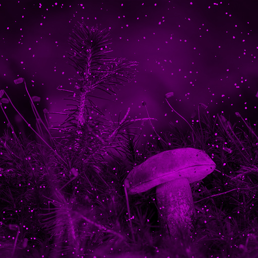 Variation 1