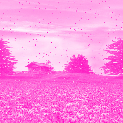 Variation 3