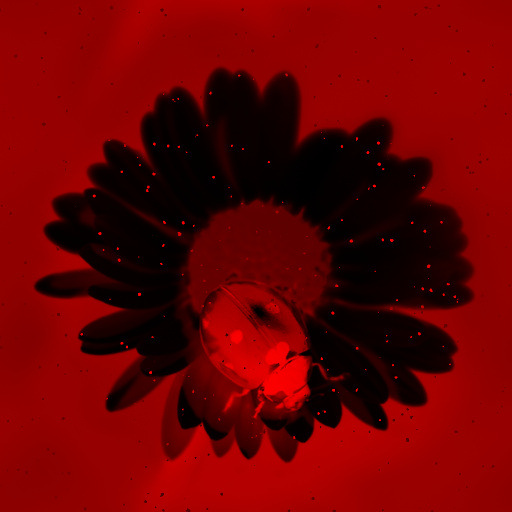 Variation 6