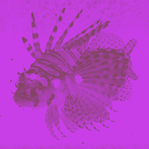 Variation 8