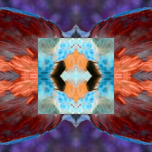 Variation 4