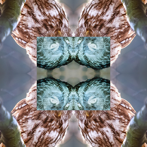 Variation 5