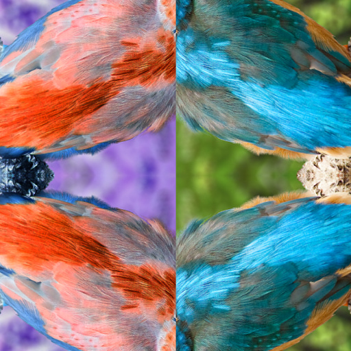 Variation 7