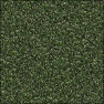 Grass Lab