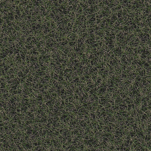 Variation 8