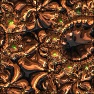 Butterflies Fractals