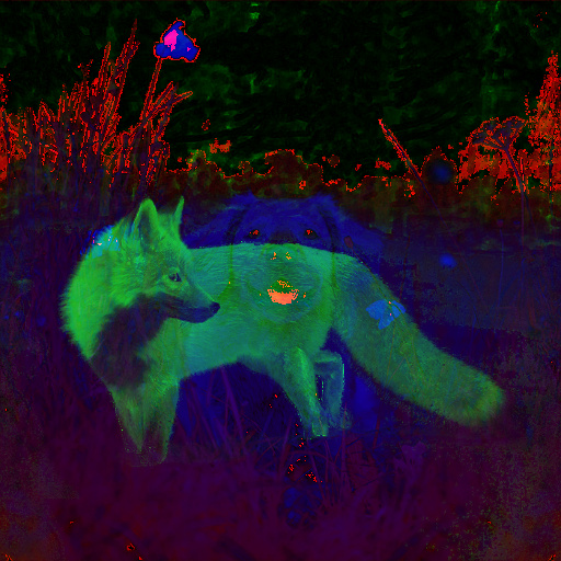 Variation 1