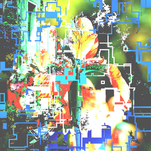 Variation 5