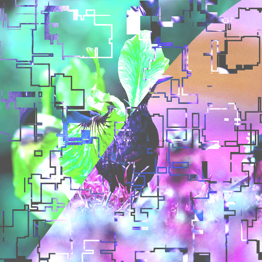 Variation 7