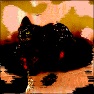 Black Point Magick