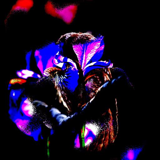 Variation 5