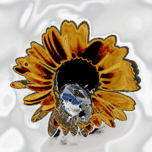 Variation 1