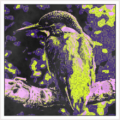 Variation 1