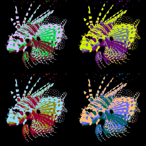 Variation 4