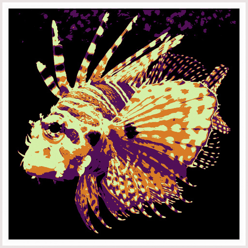 Variation 7