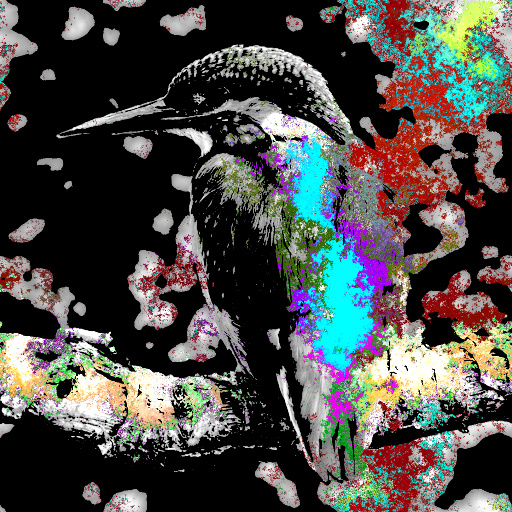 Variation 3