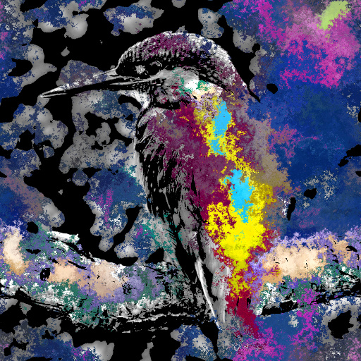 Variation 8