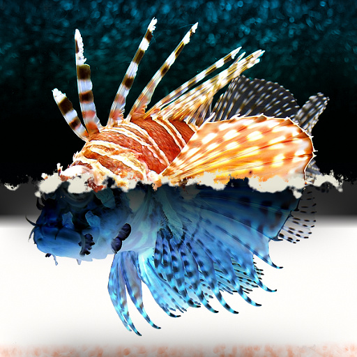 Variation 1
