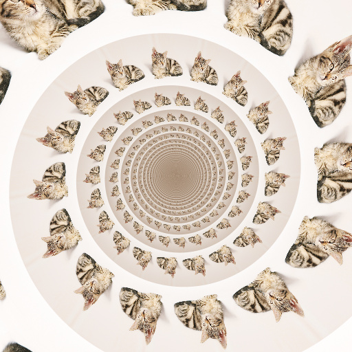 Variation 5