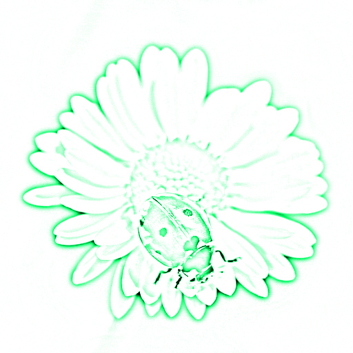 Variation 4
