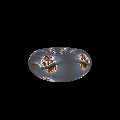 Variation 4