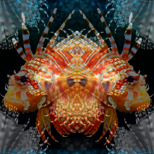Variation 3