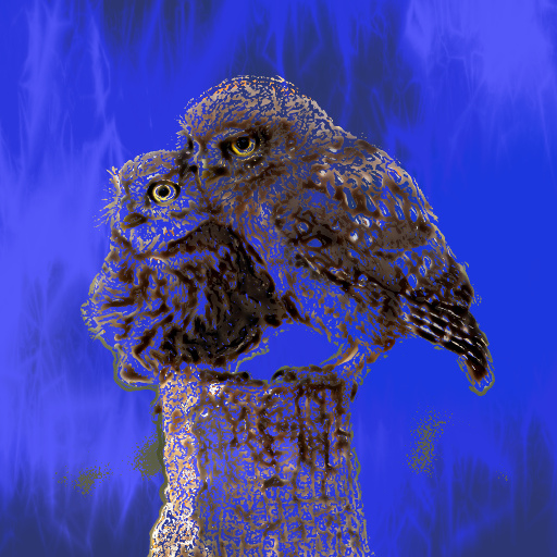 Variation 7