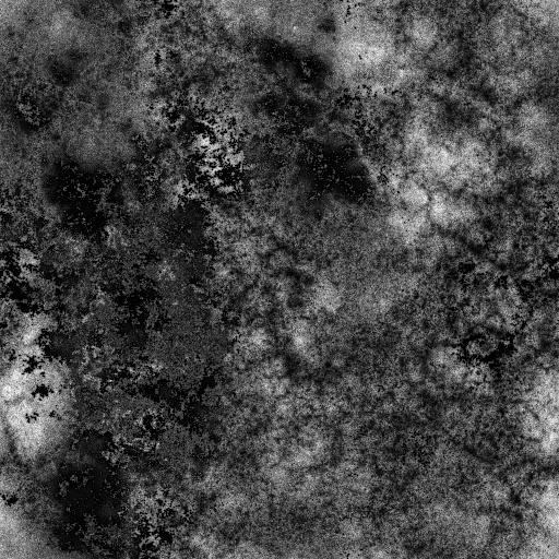 Occlusion Map