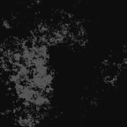 Roughness Map