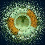 Curious Dots